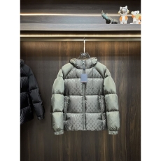 Louis Vuitton Down Jackets